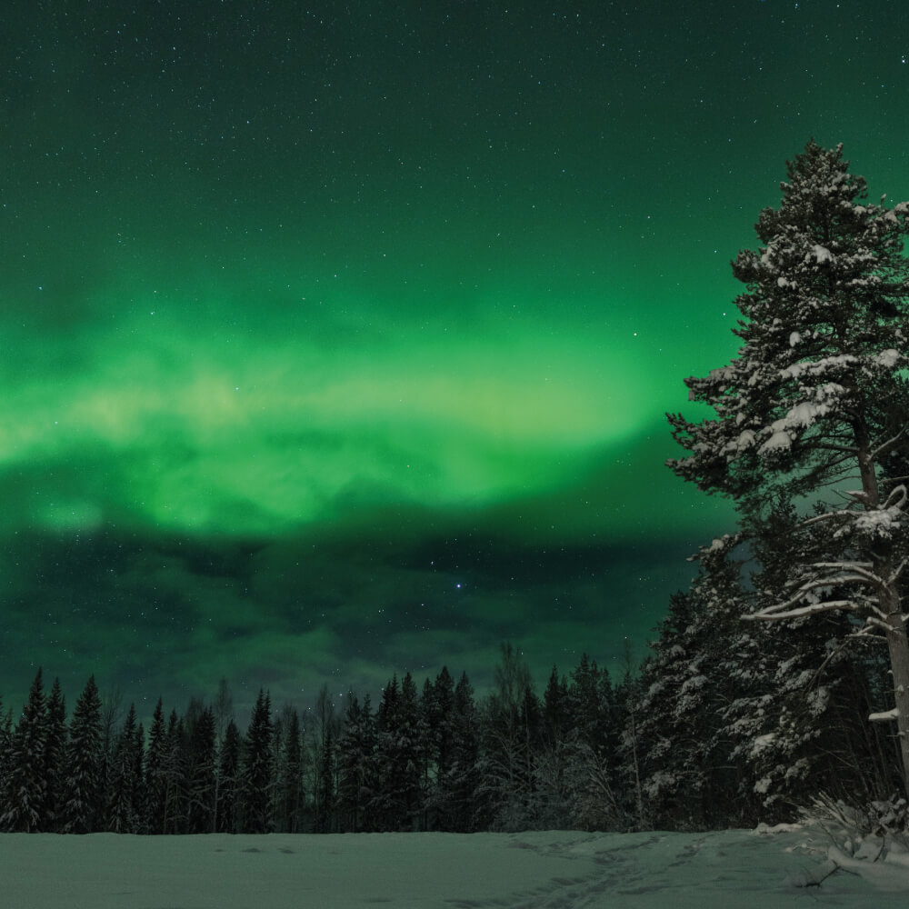 Nordveil Lapland - Taivaan tulet ja tähvitaivas kuva