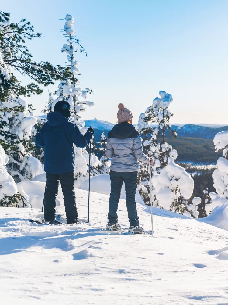 Nordveil Lapland - Miksi valita Nordveil Lapland kuva