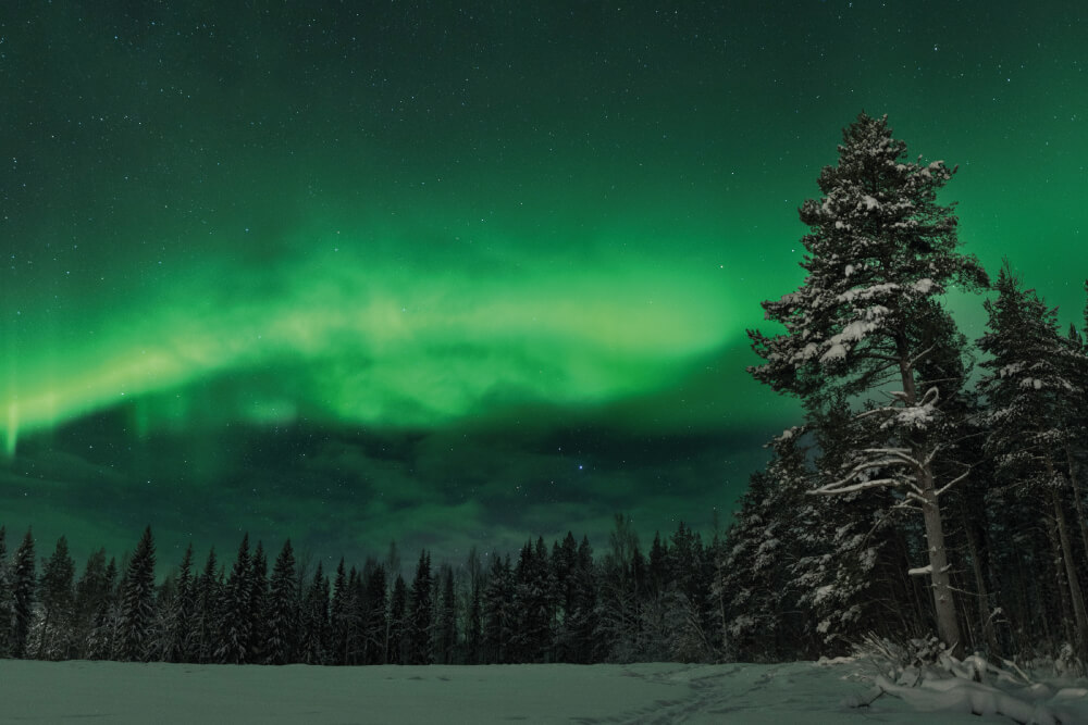 Nordveil Lapland - Taivaan tulet ja tähvitaivas kuva