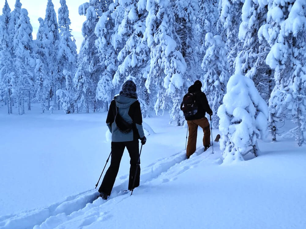 Nordveil Lapland - Tietoa meistä kuva