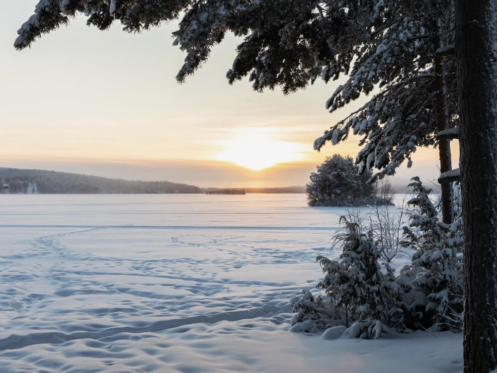 Nordveil Lapland - Tietoa meistä kuva