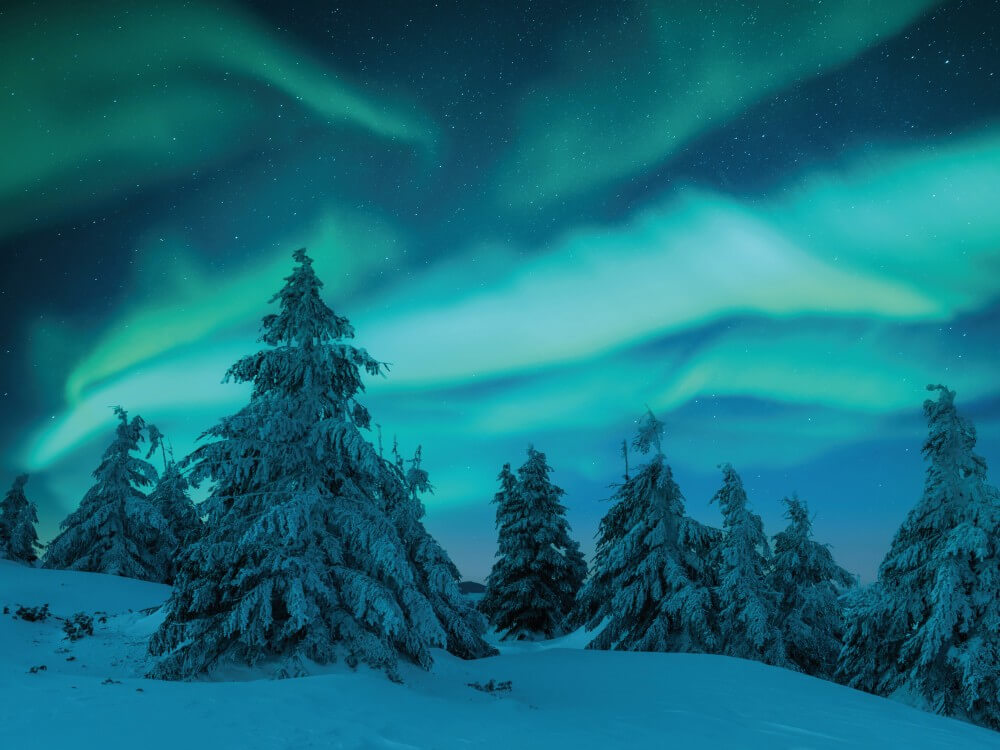 Nordveil Lapland - Usein kysyttyä kuva